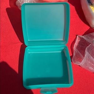 Tupperware - sandwhich container